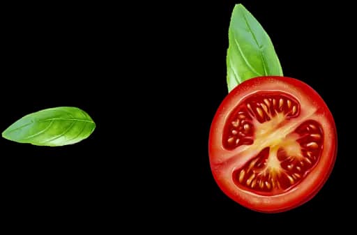 tomatoe